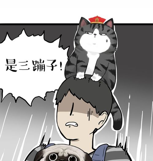吾皇万睡沃尔沃原创漫画上线,来看看少年与车的故事