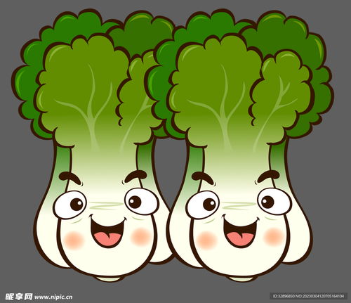 卡通大白菜设计图