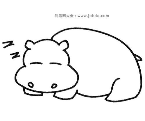 六张可爱的卡通河马简笔画图片