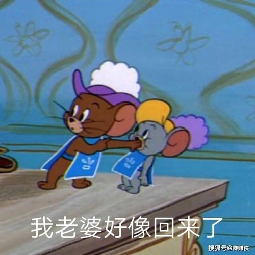 热门表情包