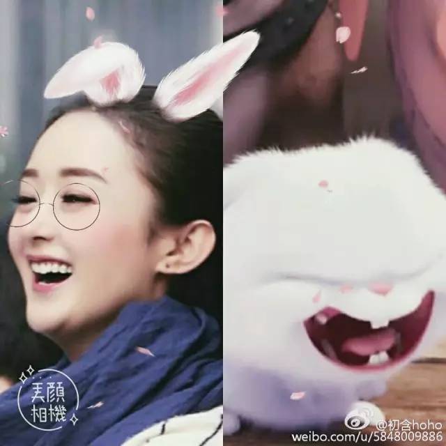 就是这么自信赵丽颖变身萌萌赵小兔网友直呼我要把她抱回家