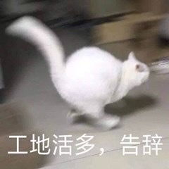 最近的踩雷合集