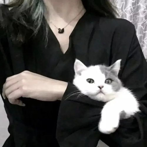 女生头像伤感头像黑白头像女生背影头像第166期