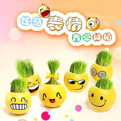 创意草头娃娃桌面迷你植物小盆栽卡通办公室室内微景青草种植表情