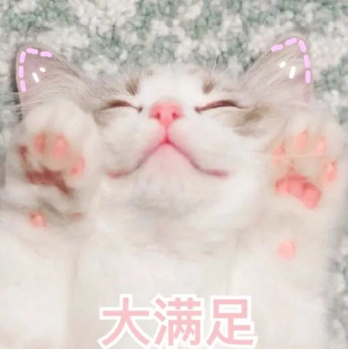 说道吃,原来还有这么多学问
