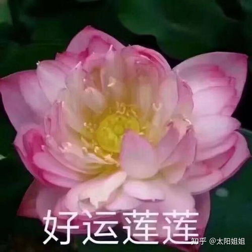 女孩子谈恋爱最看重对方放哪些方面