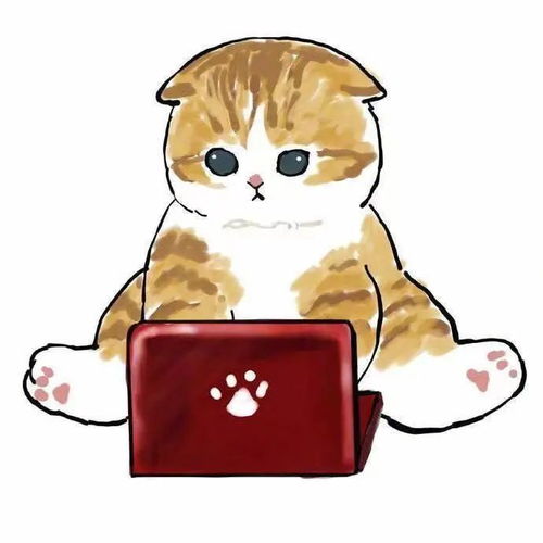 云吸猫动漫猫咪一样很治愈