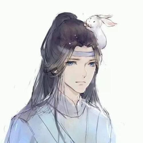 魔道祖师伪历史八