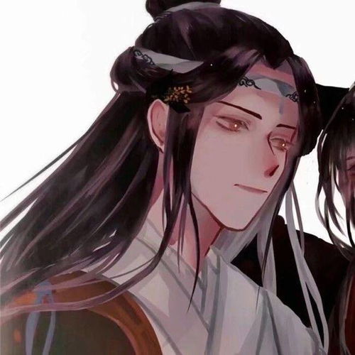 魔道祖师番外篇之甜十六