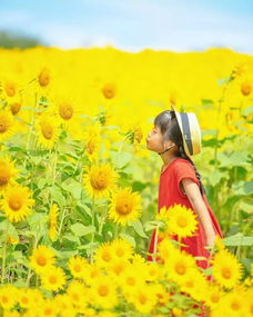 他偷拍女儿3年,美成宫崎骏动画,惊艳30万朋友圈