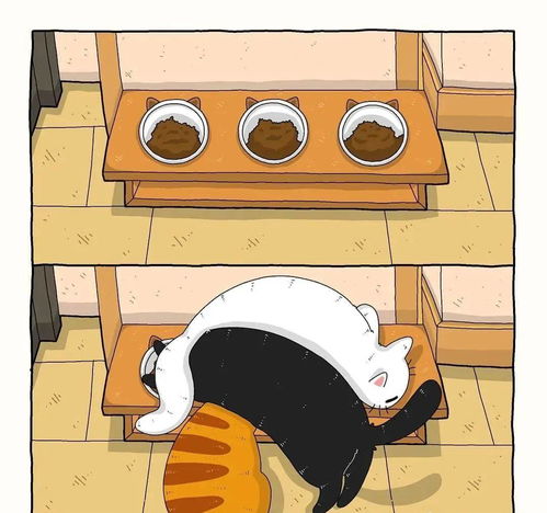 画师将各种沙雕猫猫图卡通化,这搞笑的可爱画风,也太魔性啦