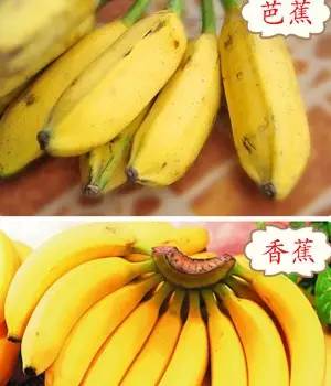 香蕉只能剥皮即食教你不用烤箱做酥脆香蕉片