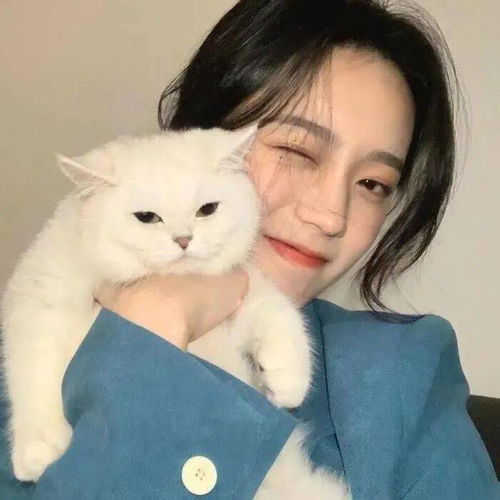 头像图片丨女生头像丨可爱的猫系女头1214