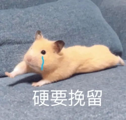 皮一下很开心的圣诞文案