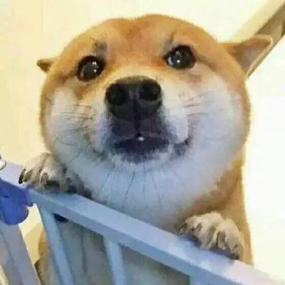 听说今天适合说浪漫的话做浪漫的事