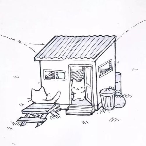 每日吸猫净化灵魂