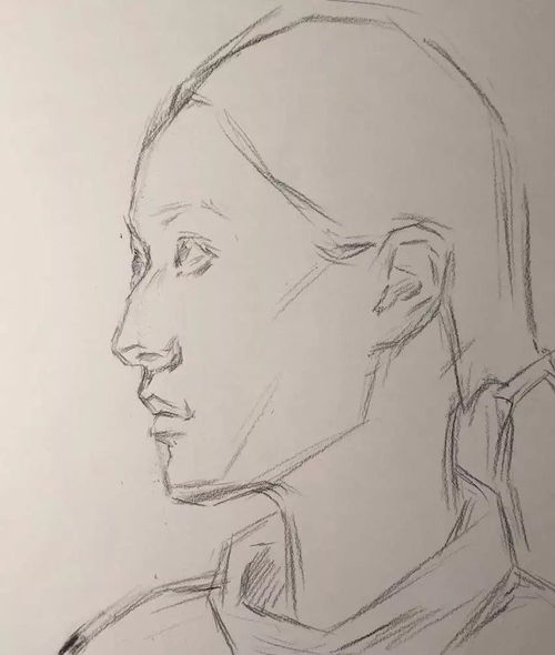 宅美术教你画神采奕奕的女中年素描头像头发