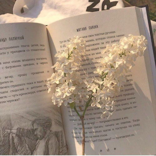 网易云热评遇见你之前山是山之后我们共赴巫山