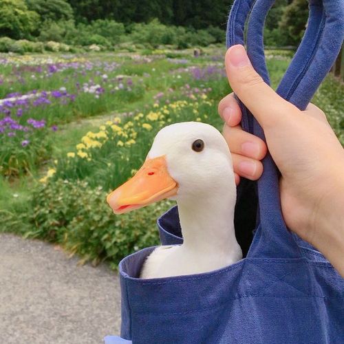烫烫烫手热帖