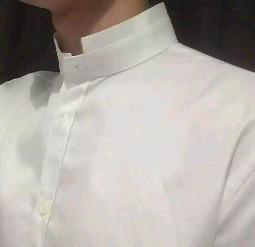谁能帮我找到这张图片的另一半情侣头像