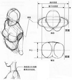 零基础怎么画人体动态这个超详细