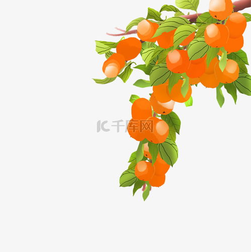 卡通红色的桔子素材图片免费下载千库网