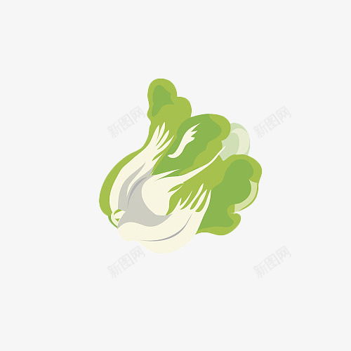 卡通手绘健康绿色大白菜免抠png设计图片免费下载页面网页平面电商创意素材白菜素材
