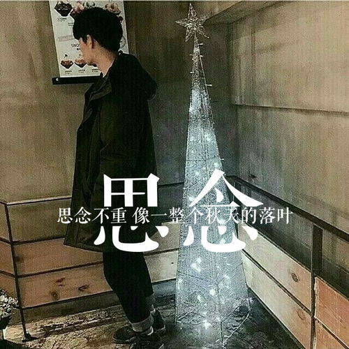 头像丨文艺复兴哈哈哈哈哈哈哈哈