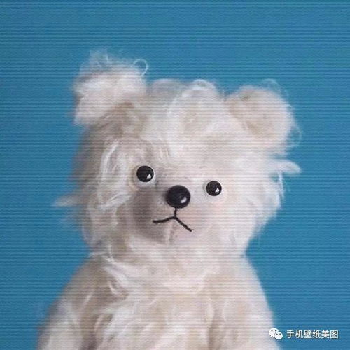 好看的微信头像精选,2020最新头像大全