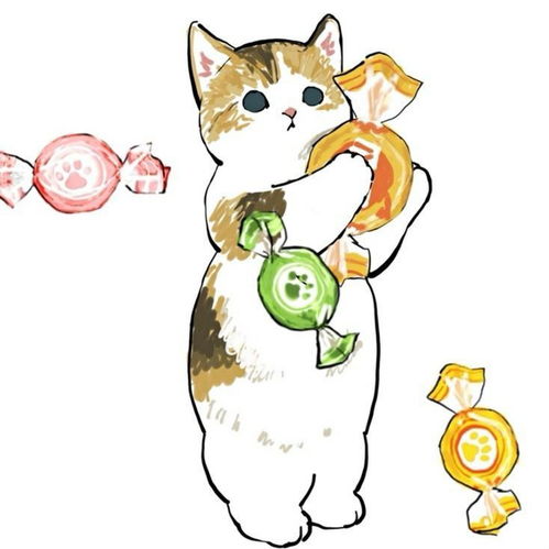 猫猫头像吃货猫和健身猫的日常第二期