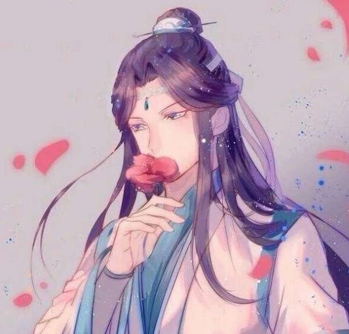 魔道祖师当含光君变成了小狗,狗怂夷陵老祖是抱狗还是怕狗