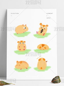 psd仓鼠psd格式仓鼠素材图片psd仓鼠设计模板我图网