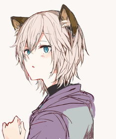 求猫耳情头