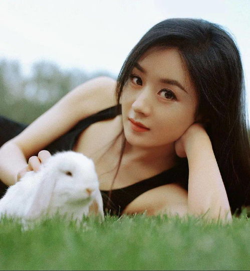 为什么现在的赵丽颖总是美到让我词穷
