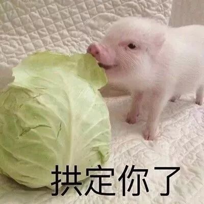 如何花钱少又能活出月入20000元的样子