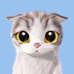 可爱猫猫情侣头像一对两张