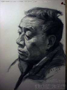 中央美院动画专业,武红伟,素描头像优秀作品2015091902