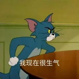 我想做一次自我介绍