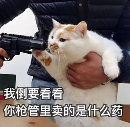 au交友团就让我这样迷失在你的眼眸里叭