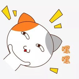 与众不同的你本周招聘岗位新鲜出炉,机不可失哦