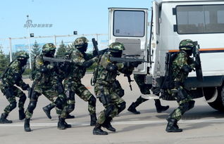 中俄边防联合反恐行动武警出动精锐特战队出战