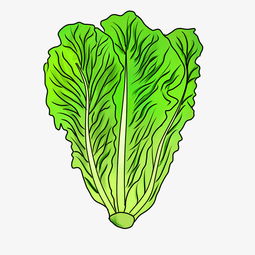 卡通手绘蔬菜大白菜图片素材其他格式下载动漫人物大全