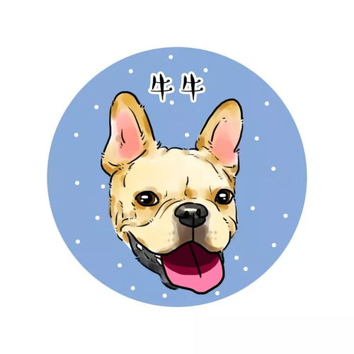 宠物斗牛犬可爱卡通漫画头像,你来嗮我来画