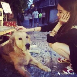 王思聪爱犬随意撞衫吴亦凡跟咱们养狗比也没什么了不起