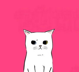 猫咪卡通头像