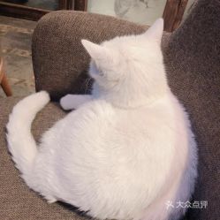 电话,地址,价格,营业时间乌鲁木齐美食