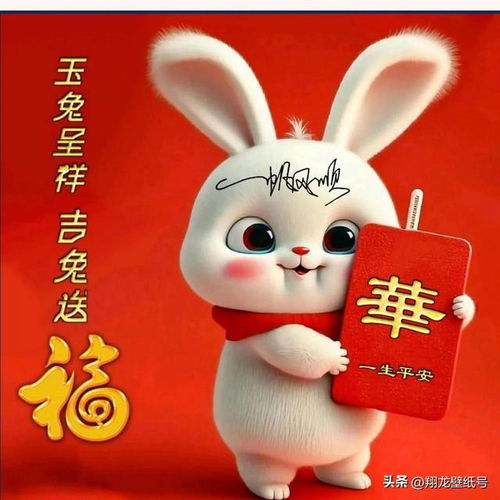 超级可爱的萌兔头像,我的最爱,2023不会再换头像