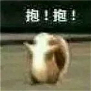 卡通搞笑头像,全部带字的不知如何表达