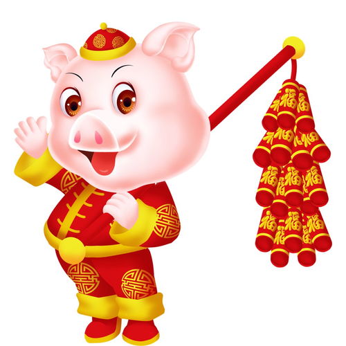 12月31日书友见面会书海春澜邂逅茶花汇