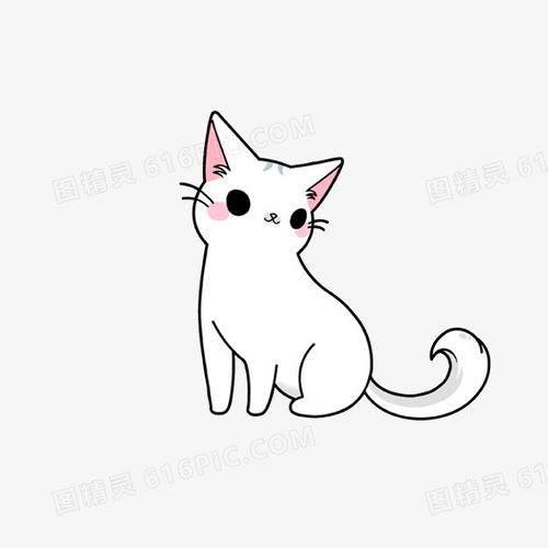 卡通猫咪图案图片免费下载高清png素材图精灵